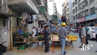 江南新村爆料视频最新,揭秘社区生活新动态 第1张 江南新村爆料视频最新,揭秘社区生活新动态 第1张